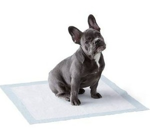 lot 100742 image: Amazon Basics Dog and Puppy Pads, Leak-proof 5-Layer Pee Pads with Quick-dry Surface for Potty Training