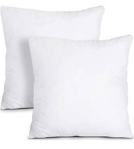 lot 100743 image: Utopia Bedding Throw Pillows Insert (Pack of 2, White) - 22 x 22 Inches Bed and Couch Pillows - Indoor Decorative Pillows