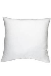 lot 29377 image: 2 Throw pillow inserts