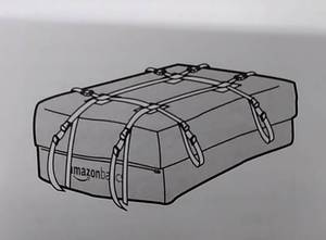 lot 29588 image: Amazon Basics Roof Top Carrying Case