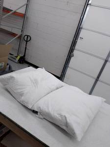 lot 29667 image: Down Luxe Pillows,20in x 28in,White