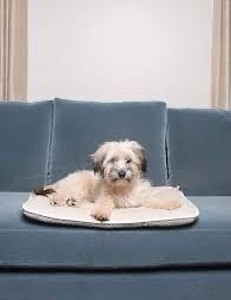 lot 1642 image: Dog Gone Smart Sleeper Cushion, Medium, Sand