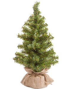 lot 50169 image: Small Seasonal Tree with Burlap Base