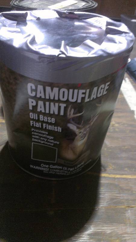lot 1890 image: Camouflage Paint
