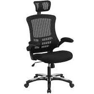 lot 1787 image: Flash Furniture - High-Back Mesh Swivel Ergonomic Executive Office Chair with Flip-Up Arms and Adjustable Headrest, BIFMA Certified - Black