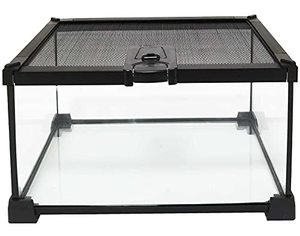 lot 32207 image: kathson Mini Reptile Glass Terrarium Tank 12x8x6