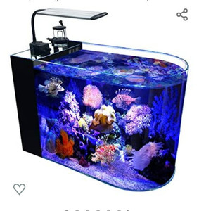 lot 32271 image: GankPike 12 Gallon Saltwater Aquarium