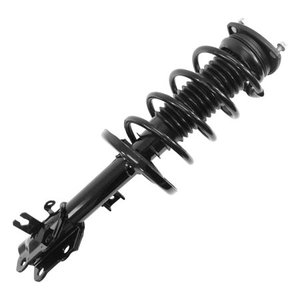 lot 32316 image: New Suspension Strut and Coil Spring Assembly