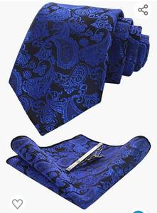 lot 71861 image: JEMYGINS Mens Solid Color Paisley Necktie and Pocket Square with Tie Clip Sets