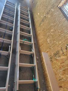 lot 12857 image: Werner 20ft Ladder