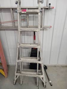 lot 13691 image: Werner Peligro Expandable Ladder