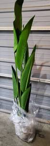 lot 15 image: Fake plant, approx 4 tall