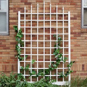 lot 35047 image: Dura-Trel Winchester 8 Vinyl Wall Trellis - White