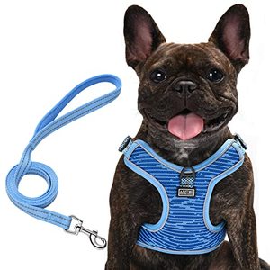 lot 67957 image: AMTOR Dog Harness, No Pull Dog Harness and Leash Set, Adjustable and Reflective Soft Dog Harness for Small Medium Large Dogs