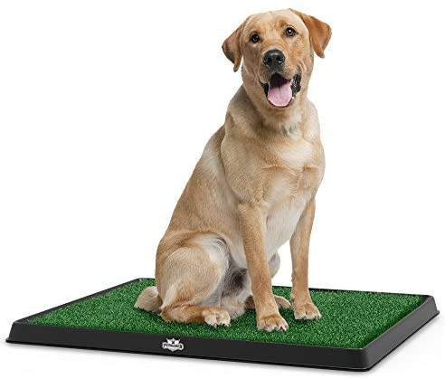 lot 20330 image: Artificial Grass Puppy Pad for Dogs and Small Pets � Portable Training Pad with Tray � Dog Housebreaking Supplies by PETMAKER (20 x 25)