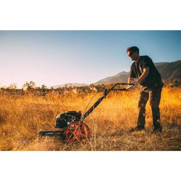Legend Force -22 in. 173 cc Gas Walk Behind String Trimmer/Mower
