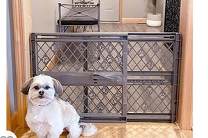 lot 37849 image: Mypet Paws 40 Portable Pet gate