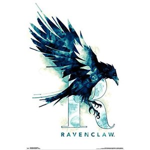 lot 37916 image: Harry Potter Ravenclaw Illustrated Poster and frame
