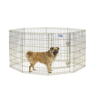 lot 38019 image: MidWest Homes For Pets Metal Exercise Dog Playpen No Door, Gold, 36H