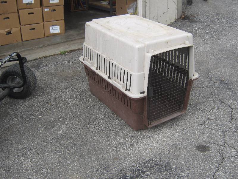 Large plastic Dog Crate 36" x 24" x 29" Tall Business Industrial Around the house Fall Clean