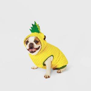 lot 8561 image: Pineapple Dog Hoodie - XL - Hyde & EEK Boutique