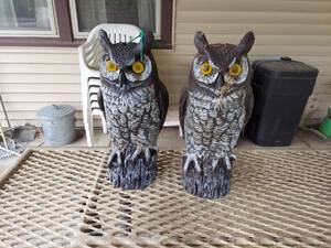 lot 5759 image: 2 Owl Decoy