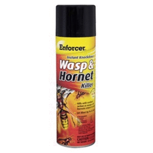 lot 7210 image: Enforcer Zep EWHIK16 Enforcer Wasp & Hornet Insecticide-16OZ WASPHORNET KILLER