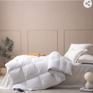 lot 6736 image: Topllen Down Comforter King Size, All Season Duvet Insert Filling with Goose Duck Down and Feather, 100% Egyptian Cotton Cover Medium Warmth Down Duvet with Corner Tabs (106x90, White)