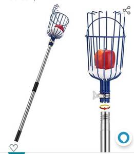 lot 18590 image: OAK LEAF Fruit Picker, 13 Foot Fruit Picker Pole with Basket Apple Orange Picker Tool Tree Fruit Catcher with Lightweight Stainless Steel Connecting Pole, Sturdy Basket with Foam Pad, Metal Clamp