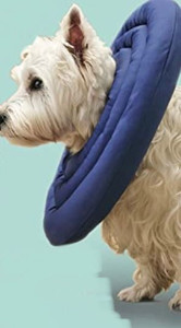 lot 15693 image: ARRR Comfy UFO Recovery Collar, Water-Resistant Soft Adjustable Protective Cone After Surgery for Dogs and Cats, Elizabethan Collar (L, Navy)