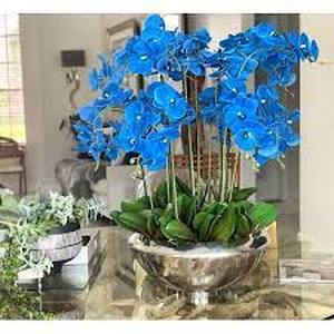 lot 36921 image: 16 Moon Vase With Orchids 26 in. L x 8 in. W