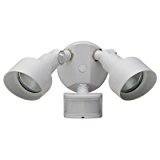 lot 3017 image: Defiant Motion Security Light