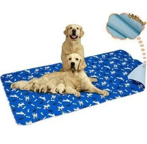 lot 10542 image: Washable Pee Pad for Dogs, Extra Large Non Slip Puppy Pad, Extra Thick Whelping Pa