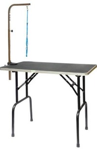 lot 10629 image: Go Pet Club Pet Dog Grooming Table with Arm, 30-Inch