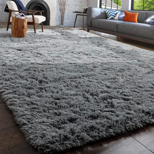lot 10752 image: PAGISOFE Fluffy Area Rug, 5x8, Shag Rugs for Living Room, Fuzzy Rugs for Girls Boys Bedroom, Soft Furry Rugs for Nursery Playroom, Cute Room Decor for Baby, Shag Carpet for Dorm Decor, Grey