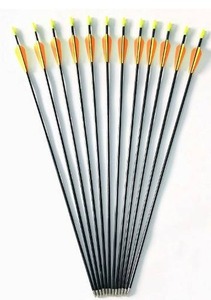 lot 10818 image: GPP 28-inches Fiberglass Archery Target Arrows - Practice Arrow or Youth Arrow for Recurve Bow