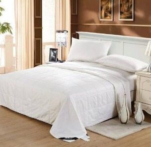 lot 10832 image: LILYSILK 100% Silk DuvetComforter Queen, White, Cool for Summer, Warm for Fall&Winter, Machine Washable Long Strand Silk Quilt, 100% Cotton Cover-Oeko-Tex Quality Certified-0.75kg, Queen 87����x90����