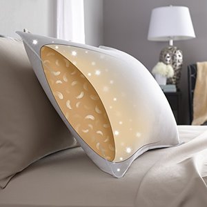 lot 14033 image: Pacific Coast DownAround Pillow 300 Thread Count 550 Fill Power Down & Resilia Feathers - King