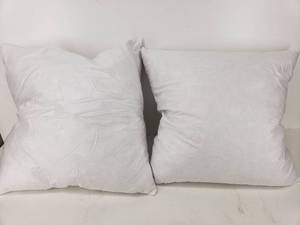 lot 14048 image: Pair of Down Pillows 20 x 20
