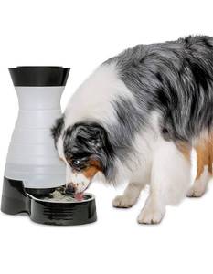 lot 44020 image: PetSafe Healthy Pet Food Station or Water Station - Gravity Feeders or Pet Water Dispensers - Automatic Cat Feeder, Dog Feeder, Pet Feeder - Dog or Cat Water Fountain, Pet Water Fountain, Waterer