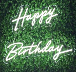 lot 44028 image: Evertine Happy Birthday Neon Sign White LED Neon Light Sign Large Size 25.6x16 inches, with Dimmable Switch, Reusable and Personalized for Party, Wall Decor Backdrop, Indoor and Outdoor Decoration