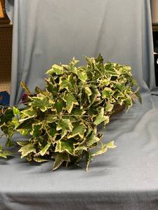 lot 33100 image: Faux flowers in brass planter - about 24 inches long
