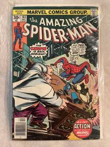 lot 33120 image: Amazing Spider-Man 163 (1976)