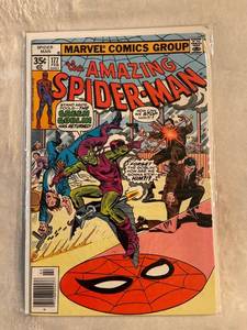 lot 33131 image: Amazing Spider-Man 177 (1978)