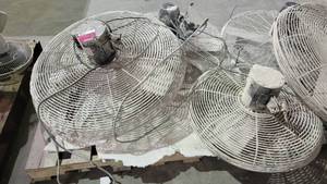 lot 7336 image: DAntonio 30in Industrial Dity Quoet Air Circulator, 30in Oscillating Wall Mount Industrial Fan, and 30in Industrial Wall Mount Fan