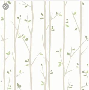 lot 35162 image: Seabrook Designs Tree Tops Kids Unpasted,4 Rolls