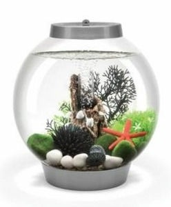 lot 64028 image: SIC 15 Aquarium with MCR Light - 4 gallon, Silver