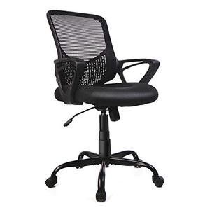 lot 65573 image: Home Office Chair, Mid Back Desk Chair Ergonomic Computer Chair Executive Rolling Swivel Height Adjustable Mesh Task Chair with Lumbar Support Armrest (Mesh Back, Black)