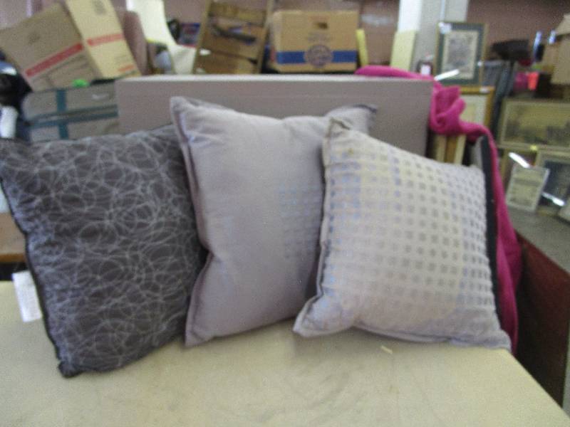 Lot of Like New Throw Pillows Almost Anything Warehouse Five and Dime Auction by Fleetsale ...