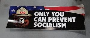 lot 1808 image: Lot of Smokey Bear Only You Can Prevent Socialism Sticker
